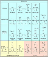 Amino Acid Molecular Structure