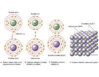 Ionic Bonding