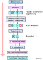 Scientific Method