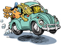 Critter Road Trip