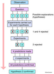 Scientific Method