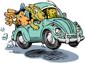 Critter Road Trip