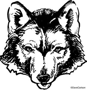 Wolf Illustration