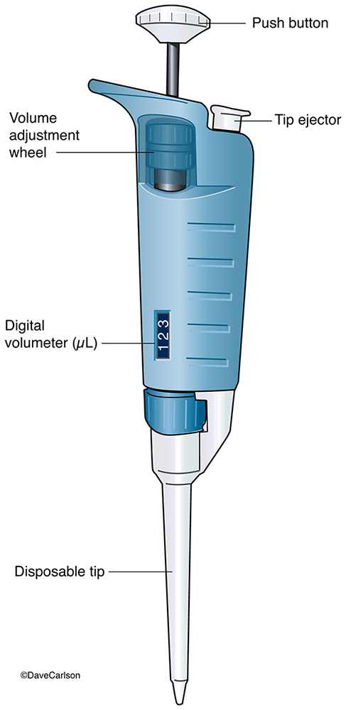 A precision laboratory instrument used  to transfer small amounts of liquids (less than 1 ml).