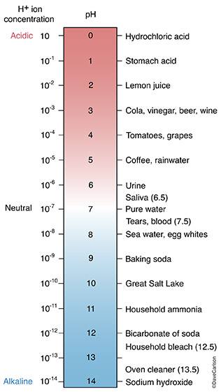 The PH scale measures how acidic (ie- battery acid) or alkaline (ie- liquid bleach) is.